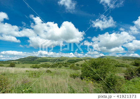 信州ビーナスライン 八島ヶ原湿原 41921373