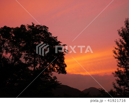 旭山記念公園の夕焼け 旭山記念公園の夕焼け 41921716