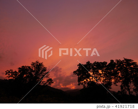 旭山記念公園の夕焼け 旭山記念公園の夕焼け 41921718