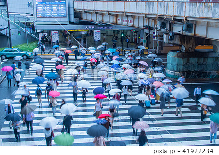 雨の日の横断歩道 雨の日の横断歩道 41922234