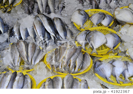 シーフード 市場 魚 41922367