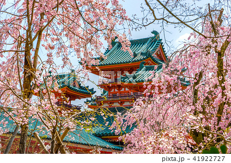 平安神宮、白虎楼と八重紅枝垂桜（京都府京都市左京区岡崎西天王町）※作品コメント欄に撮影位置あり 41922727
