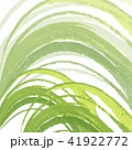緑の背景 41922772
