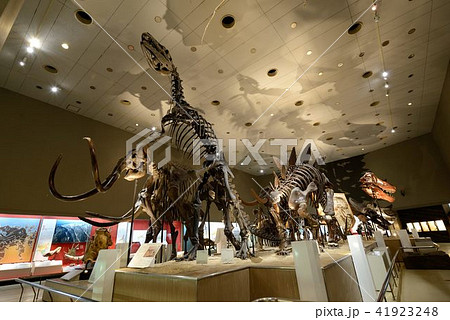 博物館イメージ 41923248