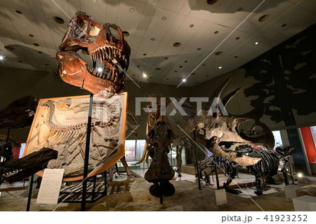 博物館イメージ 博物館イメージ 41923252