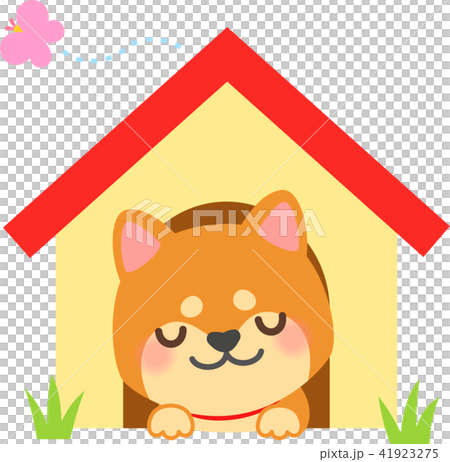 Shiba Inu睡在狗屋裡 41923275