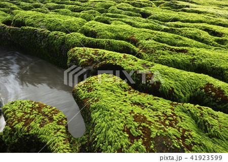 新北市 北海岸 すがすがしさ 41923599