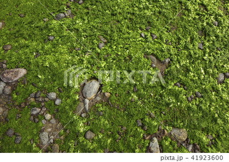 新北市 北海岸 すがすがしさ 41923600