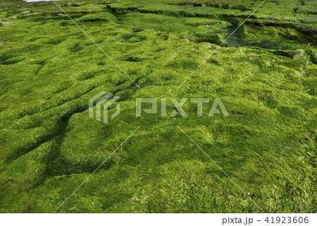 新北市 北海岸 すがすがしさ 41923606