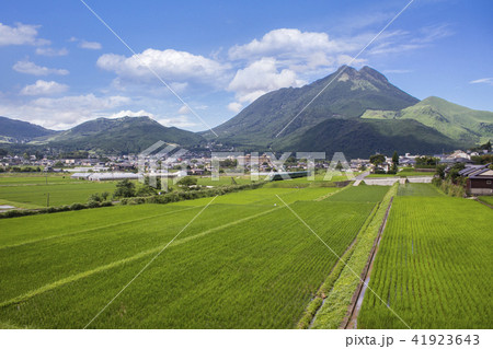 湯布院盆地とゆふいんの森 41923643