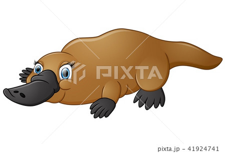 Happy Platypus Isolated On White Backgroundのイラスト素材