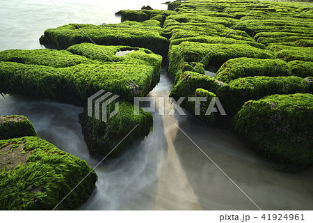 新北市 北海岸 すがすがしさ 41924961