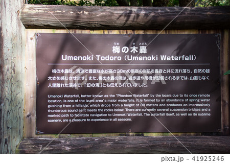 案内板　秋　紅葉　吊橋　梅の木轟公園(吊橋)(秋の紅葉) 　撮影日；2017年11月 41925246