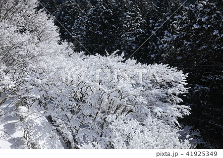 妙見山の雪景色 妙見山の雪景色 41925349