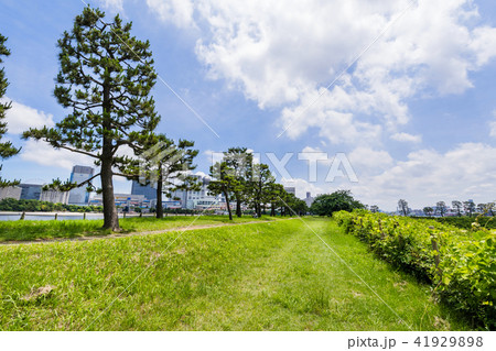 台場公園の風景 台場公園の風景 41929898