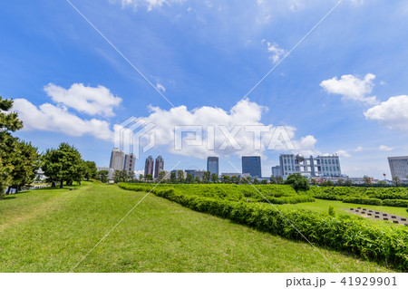 Scenery of Daiba Park - Stock Photo [41929901] - PIXTA