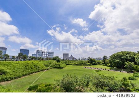 Scenery of Daiba Park - Stock Photo [41929902] - PIXTA