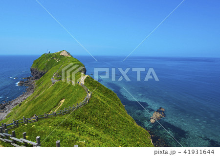 北海道の積丹半島神威岬 41931644