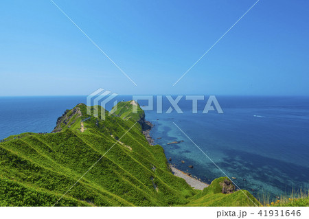 北海道の積丹半島神威岬 41931646