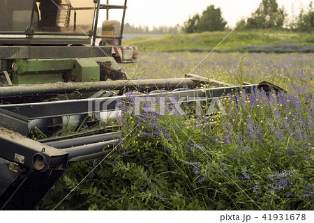 mechanical harvesting of livestock feed mechanical harvesting of livestock feed 41931678