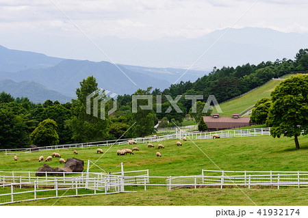 山梨県北杜市 まきば公園の写真素材