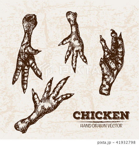 Hand drawn sketch chicken legs meat products set Hand drawn sketch chicken legs meat products set 41932798