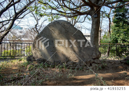 亀塚公園 41933255