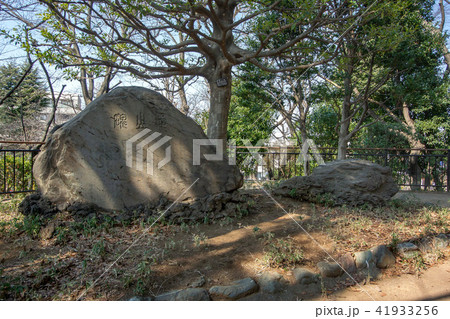 東京都港区の亀塚公園 東京都港区の亀塚公園 41933256
