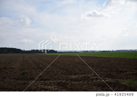 Beautiful landscape. Forest Beautiful landscape. Forest 41935409