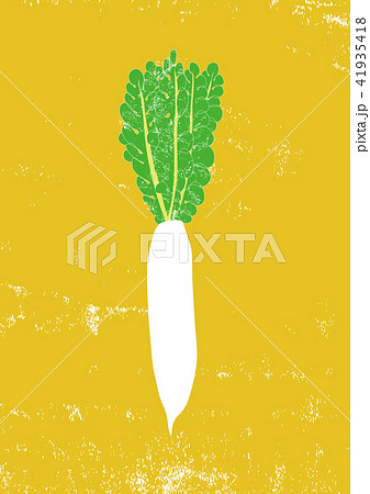 大根 水彩画のイラスト素材 [41935418] - PIXTA
