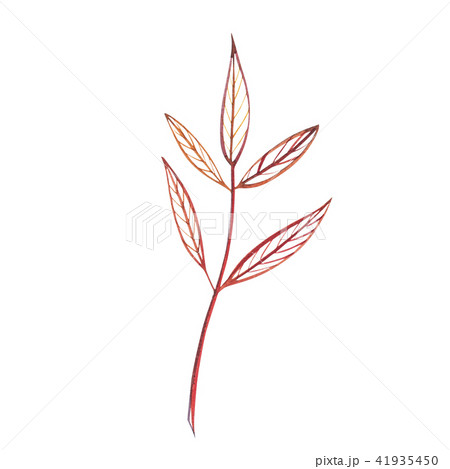 Autumn leaf. Autumn maple leaf isolated on a white background. Watercolor illustration. 41935450