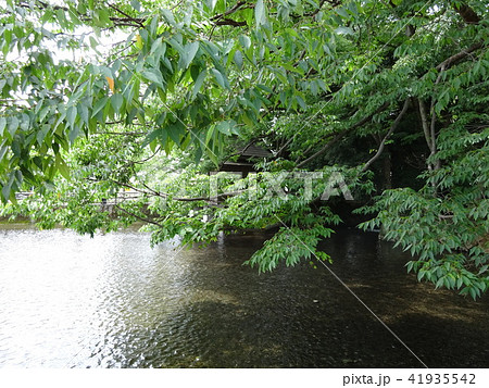 白滝公園 白滝公園 41935542