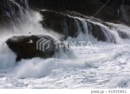 冬の日本海 冬の日本海 41935601