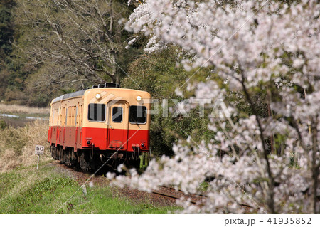 桜と小湊鉄道のキハ200。2018/3/31 41935852