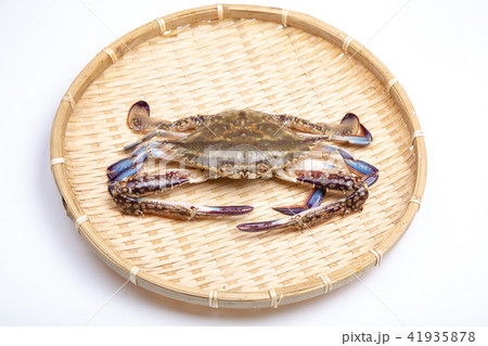 ワタリガニ　食材 41935878