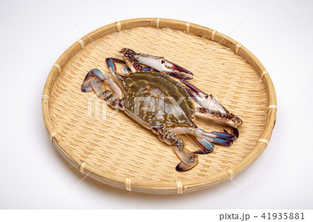 ワタリガニ　食材 41935881
