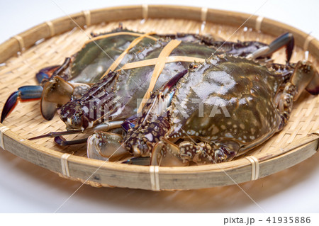 ワタリガニ 食材 ワタリガニ 食材 41935886