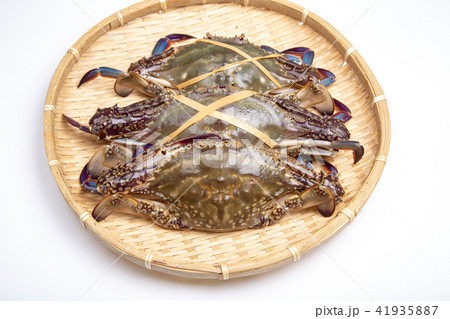 ワタリガニ 食材 ワタリガニ 食材 41935887