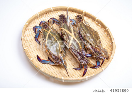 ワタリガニ 食材 ワタリガニ 食材 41935890