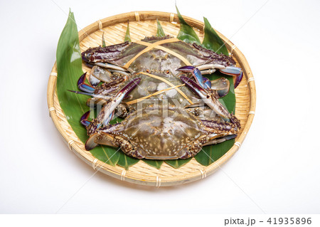 ワタリガニ 食材 ワタリガニ 食材 41935896
