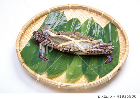 ワタリガニ 食材 ワタリガニ 食材 41935900