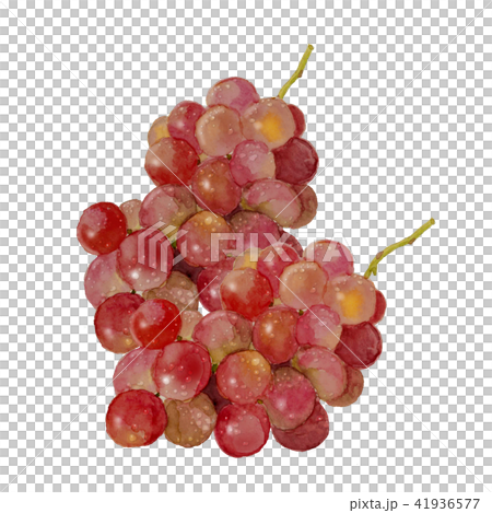 Grape Kaiji 41936577
