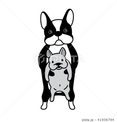 French Bulldog Vector Dog Illustration Characterのイラスト素材