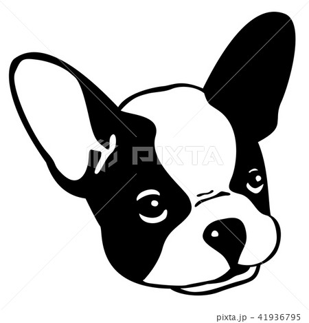 Dog Vector French Bulldog Illustration Character Stock Illustration