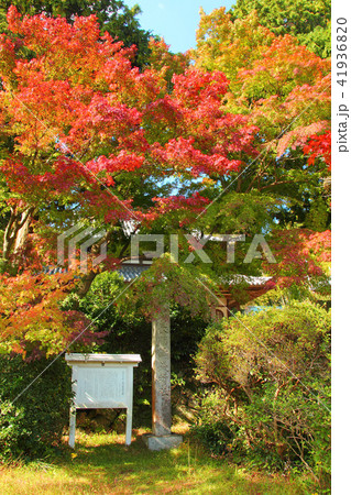 覚苑寺 長門鋳銭所跡 覚苑寺 長門鋳銭所跡 41936820