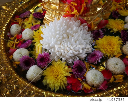 procedure of Buddhist praying from Buddha statue procedure of Buddhist praying from Buddha statue 41937585