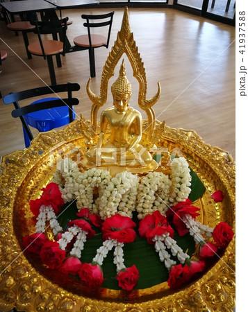 procedure of Buddhist praying from Buddha statue procedure of Buddhist praying from Buddha statue 41937588