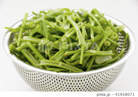 空心菜(クウシンサイ)の茎 空心菜(クウシンサイ)の茎 41938071