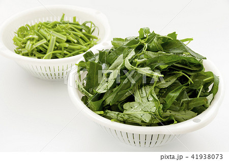 空芯菜(エンサイ)の葉と茎 空芯菜(エンサイ)の葉と茎 41938073