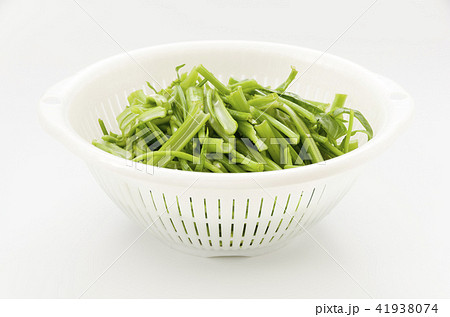 空心菜(クウシンサイ)の茎 空心菜(クウシンサイ)の茎 41938074